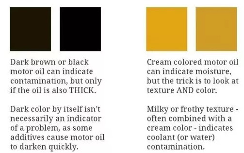 quan sát cách dầu của bạn thay đổi màu sắc theo thời gian